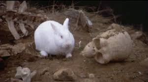 Resultado de imagen de energizer bunny gifs