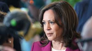 Harris 2028 White House bid ‘not going to happen’: Former Biden aide