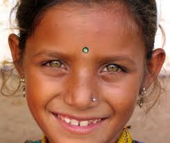 Image result for IRAN HORSES