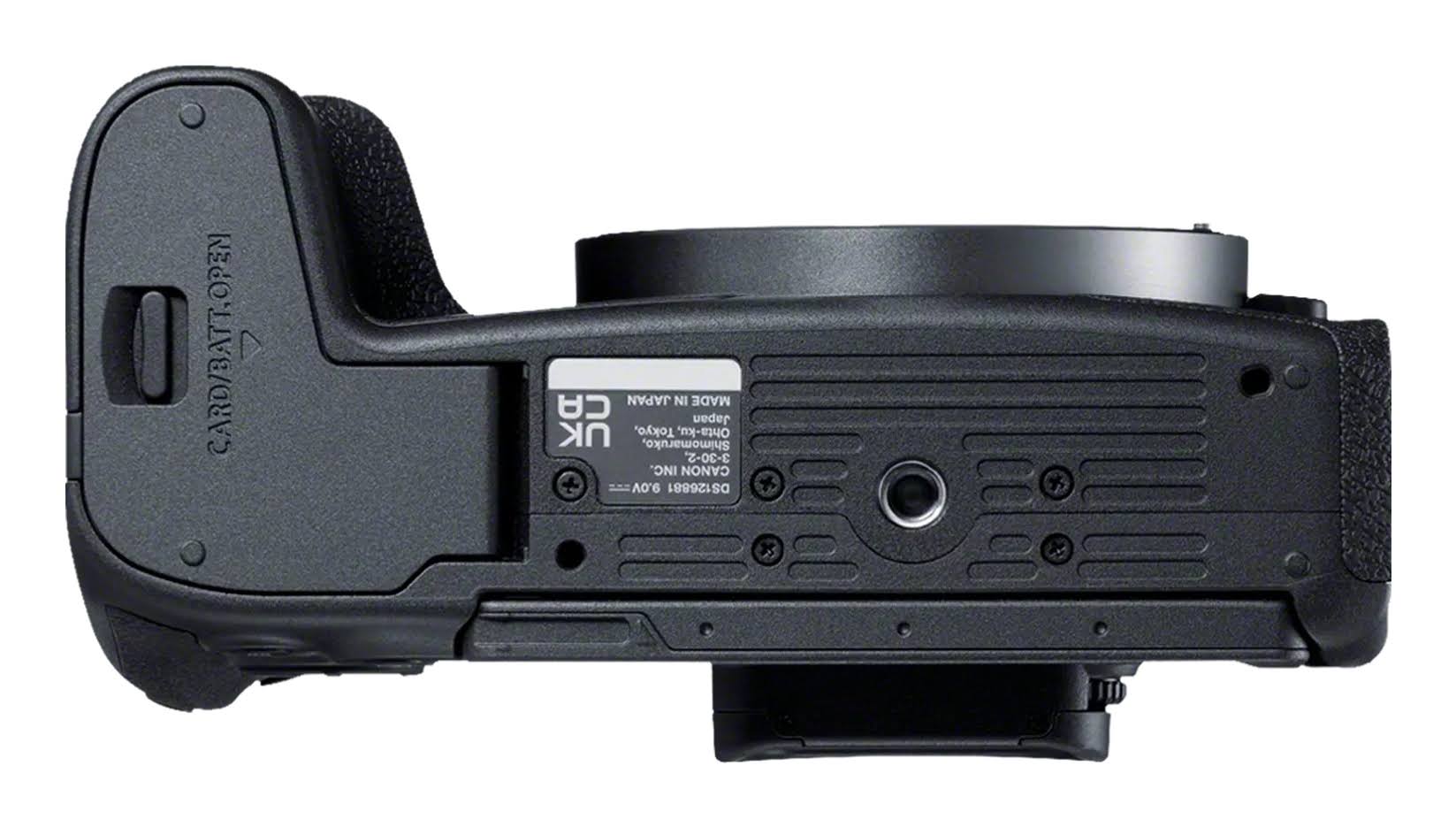 Canon EOS R8 Mirrorless Camera