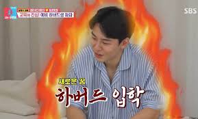 레이디 제인