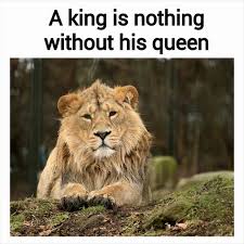 the king is nothing without his queen | We Heart It | Queen, king ... via Relatably.com
