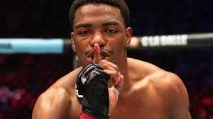 light heavyweight ufc