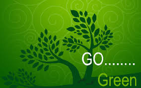 Image result for Tree plantation