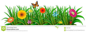 Resultado de imagem para JOANINHAS E BORBOLETAS