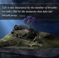 Afterlife Quotes on Pinterest | Psychic Quotes, Rip Quotes and ... via Relatably.com