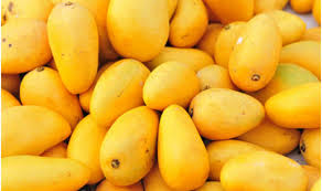 Image result for mango fruit