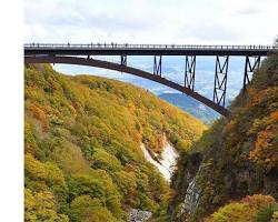 福島県の海岸線を走る観光客の画像