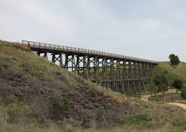 external image images?q=tbn:ANd9GcR4dHJ24a93ncnjizZeVtC4TuRErSHwDw01E0YWn2xsiqEn701i