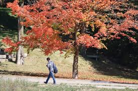 CambridgeToday.ca - News update