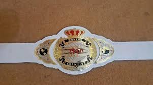 TNA WOMENS Brass Championship Belt