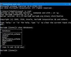 Gambar entering mysql command in cmd