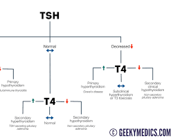 Image of Thyroid Function Tests (TFTs)