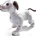 AIBO