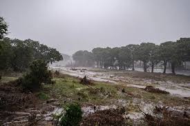 Flash Flood and Severe Thunderstorm Warnings Issued Ahead of Large Hail, Damaging Winds