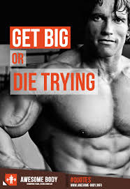 Arnold Schwarzenegger Gym Quotes. QuotesGram via Relatably.com