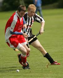 Résultat de recherche d'images pour "shinty"