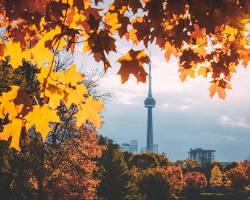 Image of High Park in Toronto during fall