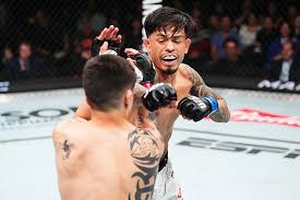 Sherdog - News update