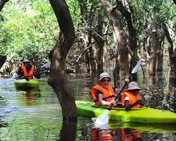 People kayaking through a flooded forest on Tonle Sap Lake in Cambodia