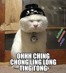Image result for Animal Meme
