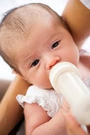 Manfaat Susu Kambing Etawa Untuk Bayi Kebanyakan, susu formula yang diberikan pada bayi ini adalah susu sapi. Pemberian susu formula ini dilakukan karena ... - Manfaat-Susu-Kambing-Etawa-Untuk-Bayi