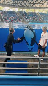 Nayeli Maldonado (@lealnayeli)'s videos with sonido original - Música Regional Cristiana | TikTok