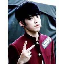 Hasil gambar untuk seventeen s.coups instagram