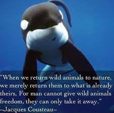 Animal Quotes on Pinterest | Animal, Quote Pillow and Earth via Relatably.com