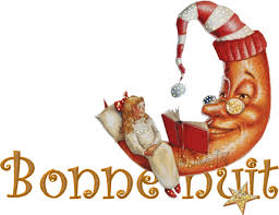 Résultat de recherche d'images pour "gif NOEL bonne soiree"