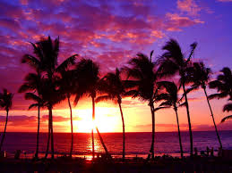 Image result for hawaii