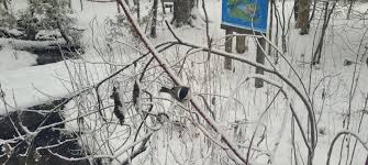 Good morning, Midland! Here's today's weather!