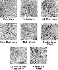 Résultat de recherche d'images pour "fingerprint types"