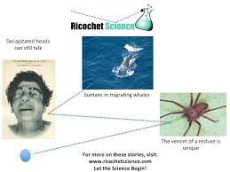 Image result for science news