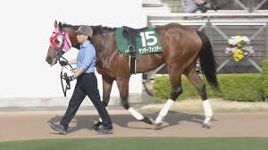 News source: JRA日本中央競馬会