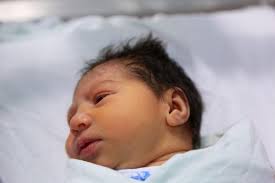 Image result for images of zika babiers