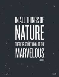 Aristotle Quotes on Pinterest | Masculine Style, Strong Quotes and ... via Relatably.com