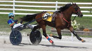 Oak Grove: Regional champs clash in inaugural Oak Grove Trotting Derby