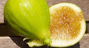 Risultati immagini per fico brogiotto