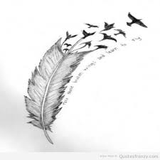 Feathers | Quotes Frenzy via Relatably.com