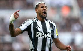 Champions League: ¿Podrá Newcastle vencer al Benfica? Dónde ver el partido - Imagen principal del artículo
