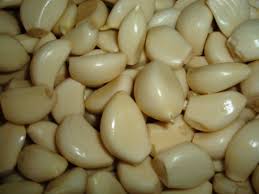 Image result for garlic images