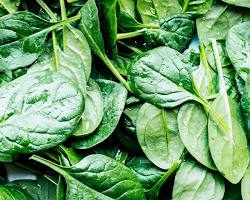 Image of Spinach vegetable