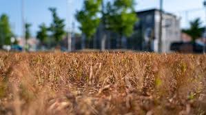 Ottawa Faces Severe Drought Water Conservation Urged