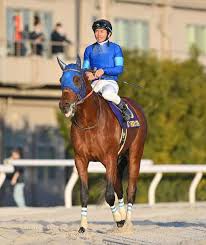 News source: Yahoo!ニュース