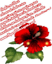 images?q=tbn:ANd9GcR6wKk1WcKmavAlc2Ku3j1