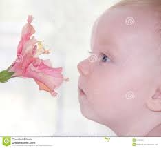 Cute little baby and beautiful flower - cute-little-baby-beautiful-flower-pink-34390841