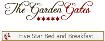 Image result for mayo now logo