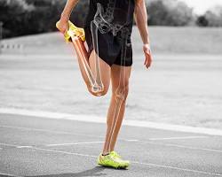 Dates for improved bone health