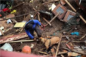 Hasil gambar untuk FOTO-FOTO KORBAN GUNUNG API